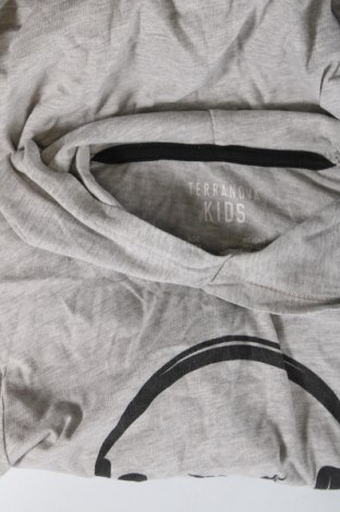 Kinder Sweatshirts Terranova, Größe 11-12y/ 152-158 cm, Farbe Grau, Preis € 4,98