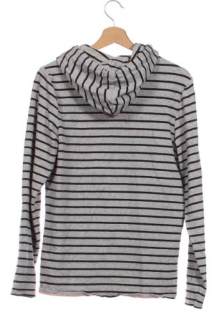 Kinder Sweatshirts Vingino, Größe 15-18y/ 170-176 cm, Farbe Grau, Preis 3,79 €