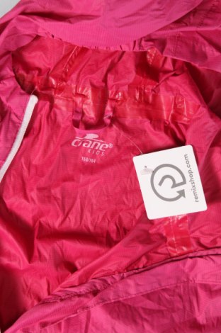 Παιδικό αθλητικό μπουφάν Crane, Μέγεθος 12-13y/ 158-164 εκ., Χρώμα Ρόζ , Τιμή 4,55 €