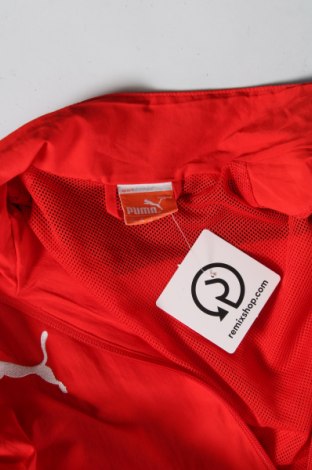 Detská športová bunda  PUMA, Veľkosť 15-18y/ 170-176 cm, Farba Červená, Cena  8,22 €