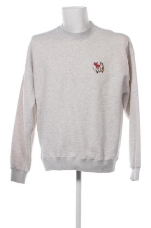 Ανδρική μπλούζα Abercrombie & Fitch, Μέγεθος M, Χρώμα Γκρί, Τιμή 19,98 €