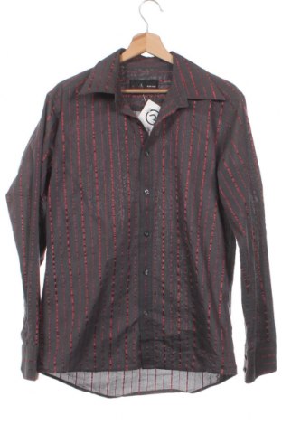 Ανδρικό πουκάμισο Bertoni, Μέγεθος L, Χρώμα Γκρί, Τιμή 2,89 €