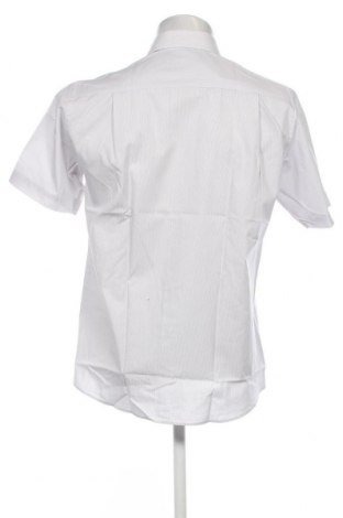 Ανδρικό πουκάμισο Digel, Μέγεθος M, Χρώμα Γκρί, Τιμή 21,40 €