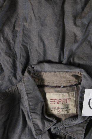 Herrenhemd Espada, Größe L, Farbe Grau, Preis € 20,18