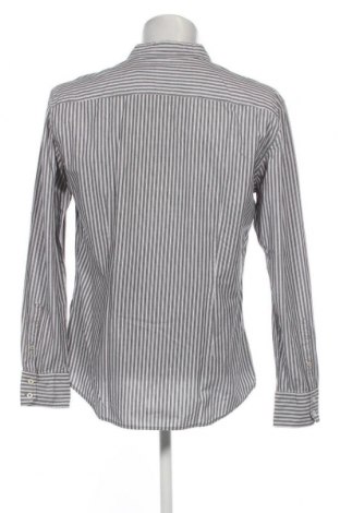 Ανδρικό πουκάμισο Tom Tailor, Μέγεθος XL, Χρώμα Γκρί, Τιμή 14,85 €