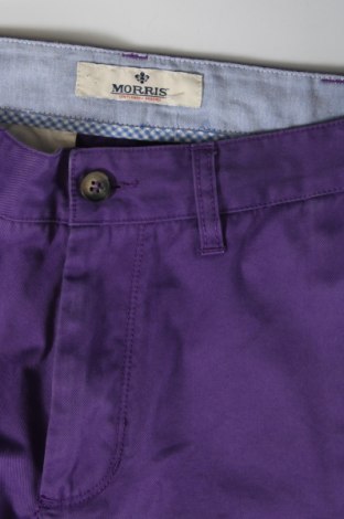 Pánske nohavice  Morris Jeans, Veľkosť M, Farba Fialová, Cena  7,79 €