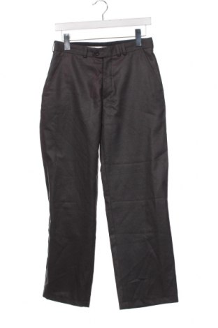 Ανδρικό παντελόνι Paruchev, Μέγεθος S, Χρώμα Γκρί, Τιμή 3,68 €