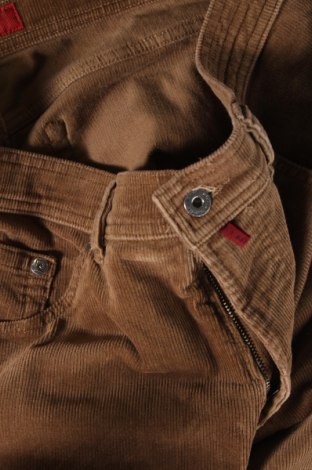 Ανδρικό παντελόνι Pierre Cardin, Μέγεθος L, Χρώμα Καφέ, Τιμή 27,22 €