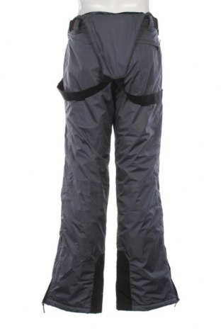 Pantaloni bărbătești pentru sporturi de iarnă Pulp, Mărime L, Culoare Gri, Preț 282,89 Lei