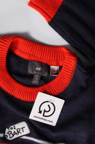 Pánsky sveter  H&M, Veľkosť S, Farba Viacfarebná, Cena  4,11 €