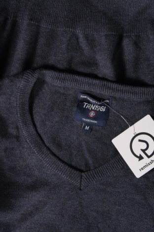 Ανδρικό πουλόβερ Terranova, Μέγεθος M, Χρώμα Μπλέ, Τιμή 4,49 €