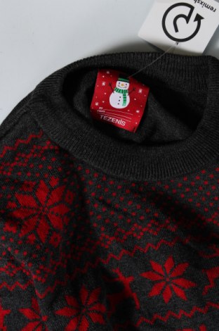 Ανδρικό πουλόβερ Tezenis, Μέγεθος L, Χρώμα Πολύχρωμο, Τιμή 5,38 €