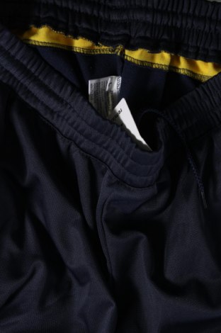 Ανδρικό αθλητικό παντελόνι, Μέγεθος L, Χρώμα Μπλέ, Τιμή 7,53 €