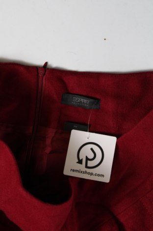 Φούστα Esprit, Μέγεθος L, Χρώμα Κόκκινο, Τιμή 2,69 €