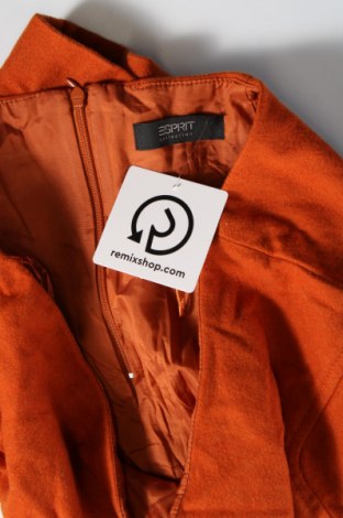 Φούστα Esprit, Μέγεθος M, Χρώμα Πορτοκαλί, Τιμή 2,69 €