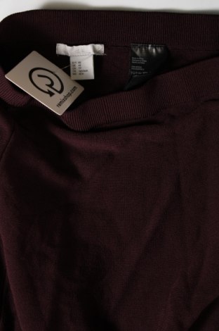 Φούστα H&M, Μέγεθος XS, Χρώμα Καφέ, Τιμή 2,87 €