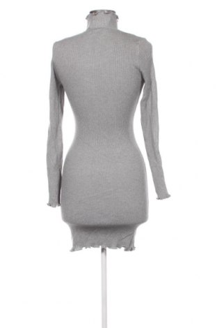 Kleid Fb Sister, Größe XL, Farbe Grau, Preis 5,05 €
