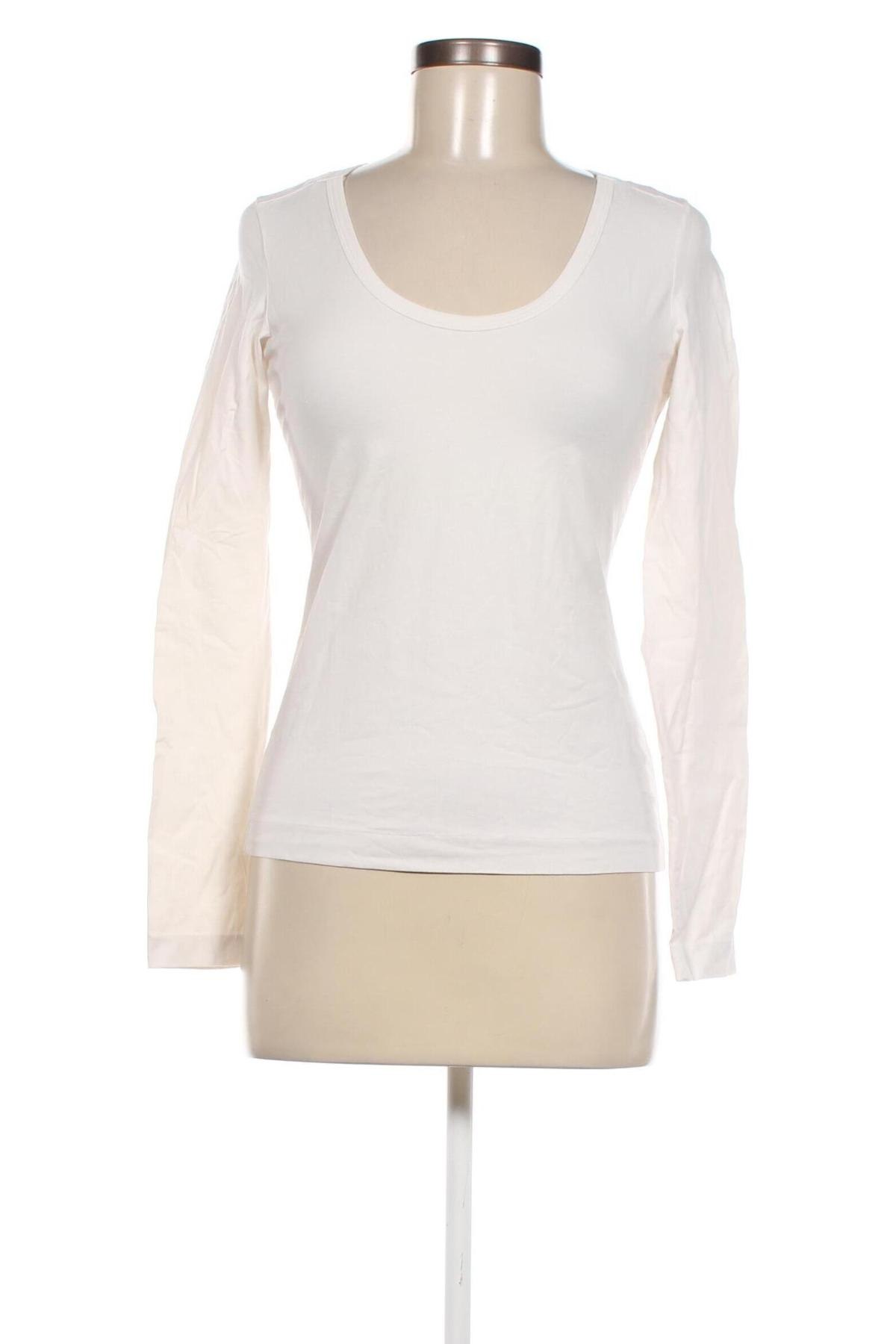 Damen Shirt Jil Sander, Größe M, Farbe Weiß, Preis 46,76 €