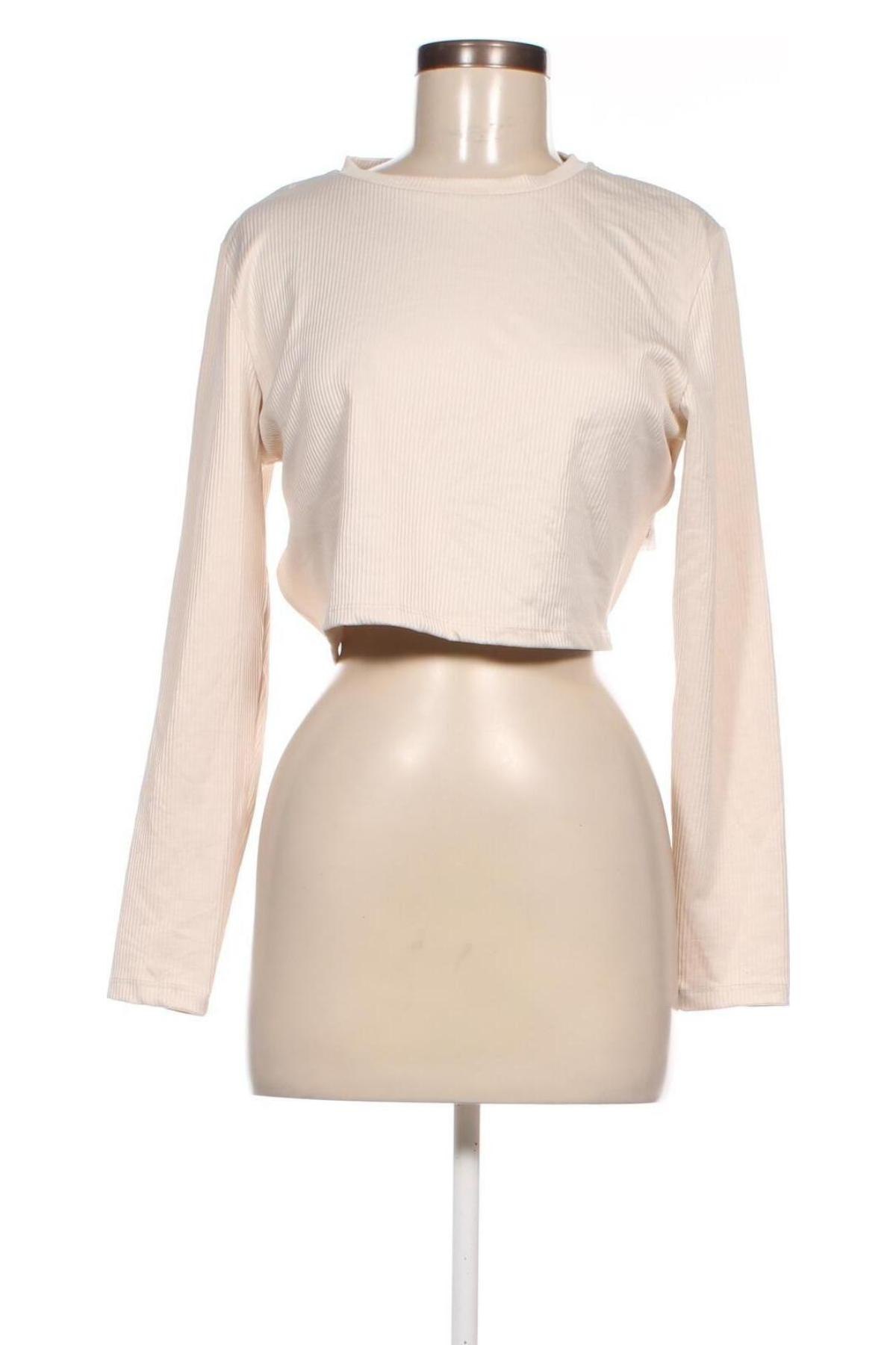 Γυναικεία μπλούζα Primark, Μέγεθος L, Χρώμα Εκρού, Τιμή 2,47 €