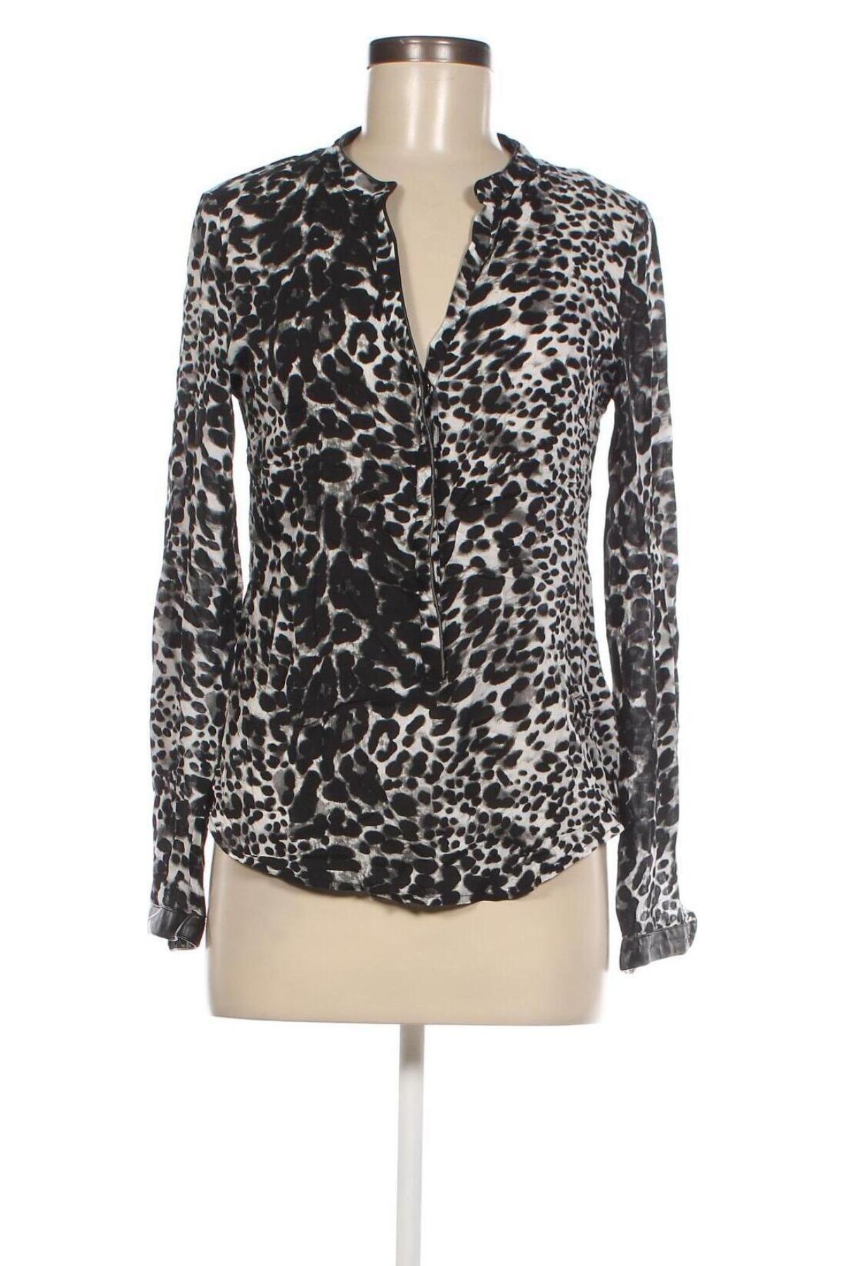 Γυναικεία μπλούζα Zebra, Μέγεθος XS, Χρώμα Πολύχρωμο, Τιμή 3,88 €