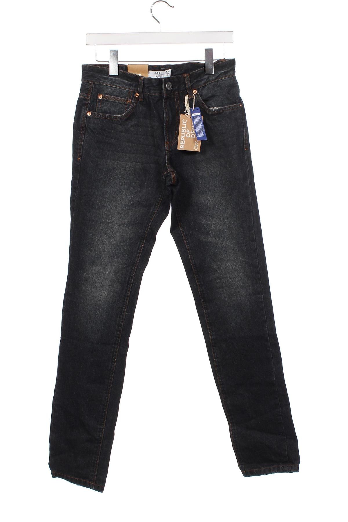 Herren Jeans Oviesse, Größe S, Farbe Blau, Preis 9,72 €