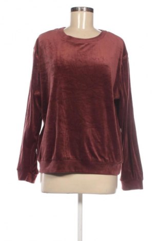 Damen Shirt, Größe M, Farbe Braun, Preis € 13,99