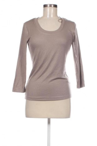 Damen Shirt Laura Torelli, Größe S, Farbe Braun, Preis € 5,99