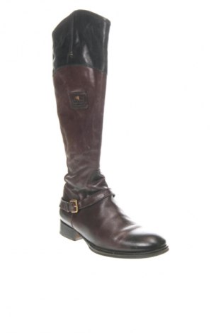 Damenstiefel Tommy Hilfiger, Größe 38, Farbe Mehrfarbig, Preis 71,18 €