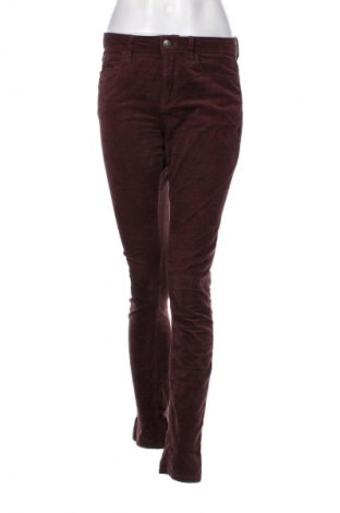 Pantaloni de velvet de femei Esprit, Mărime M, Culoare Maro, Preț 34,99 Lei