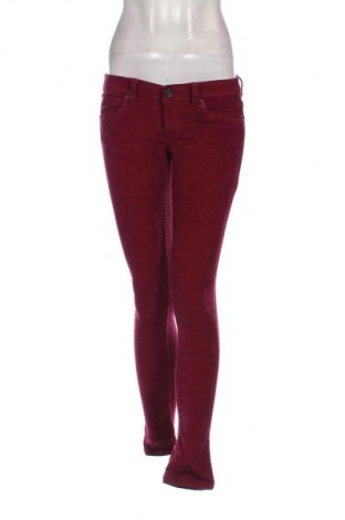 Damen Cordhose Terranova, Größe S, Farbe Rot, Preis 14,83 €