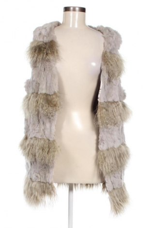 Damenweste Unbranded, Größe S, Farbe Mehrfarbig, Preis € 6,99