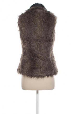 Damenweste Tally Weijl, Größe S, Farbe Mehrfarbig, Preis € 4,99