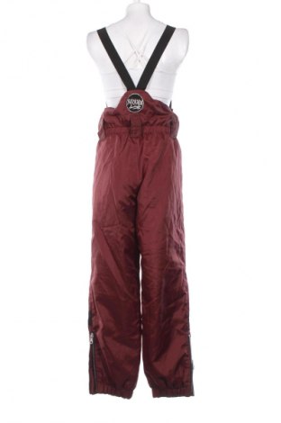 Dámská kombinéza pro zimní sporty  Unbranded, Velikost XL, Barva Červená, Cena  289,00 Kč