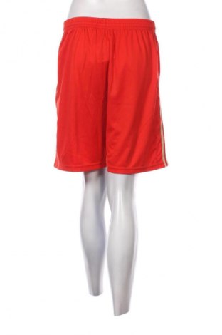 Damen Shorts, Größe M, Farbe Rot, Preis € 3,99