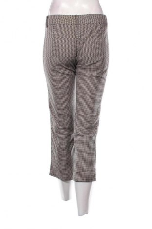 Damenhose Chasse, Größe M, Farbe Mehrfarbig, Preis € 2,99