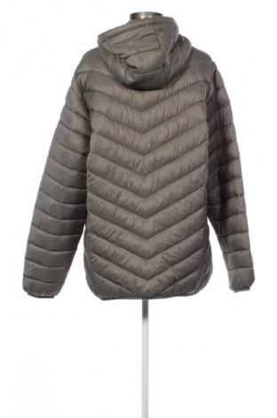 Damenjacke Zizzi, Größe XL, Farbe Grün, Preis 23,99 €