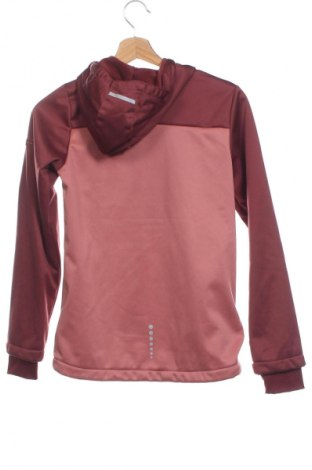 Kinder Sweatshirts Crivit, Größe 10-11y/ 146-152 cm, Farbe Mehrfarbig, Preis € 10,79