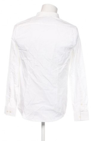 Herrenhemd Calvin Klein Jeans, Größe M, Farbe Weiß, Preis € 54,99