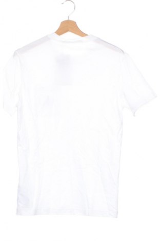 Herren T-Shirt Calvin Klein Jeans, Größe S, Farbe Weiß, Preis € 57,99
