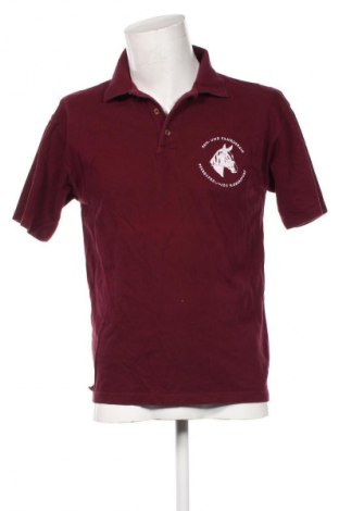 Herren T-Shirt Promodoro, Größe L, Farbe Rot, Preis € 9,62