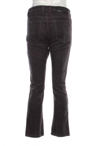 Herren Cordhose Canda, Größe M, Farbe Grau, Preis € 9,99