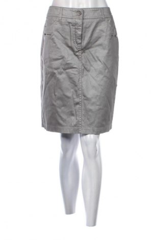 Φούστα Gerry Weber, Μέγεθος M, Χρώμα Γκρί, Τιμή 6,99 €