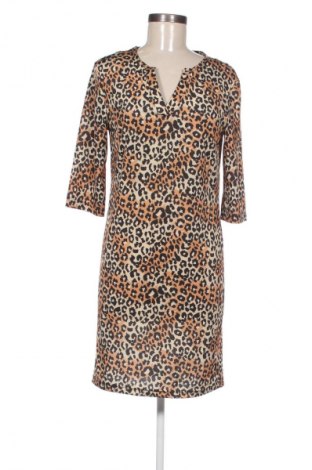 Kleid Unbranded, Größe S, Farbe Mehrfarbig, Preis 10,99 €