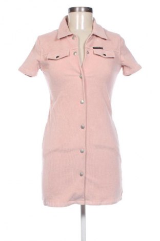 Kleid Calvin Klein Jeans, Größe M, Farbe Aschrosa, Preis € 117,99