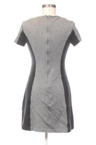 Kleid DKNY, Größe M, Farbe Mehrfarbig, Preis 18,99 €