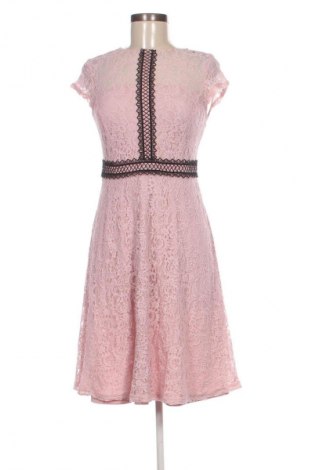 Kleid Dorothy Perkins, Größe M, Farbe Rosa, Preis € 27,96