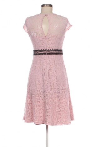 Kleid Dorothy Perkins, Größe M, Farbe Rosa, Preis € 27,96