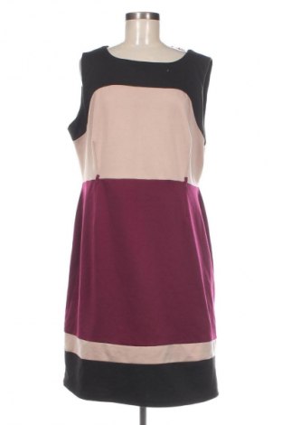 Kleid Petite Sophisticate, Größe L, Farbe Mehrfarbig, Preis € 6,99