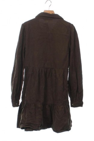 Kleid Zara, Größe XS, Farbe Grün, Preis € 7,99