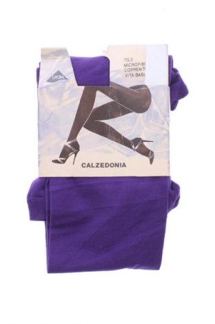 Strumpfhose Calzedonia, Größe S, Farbe Lila, Preis € 15,99